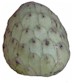 Cherimoya