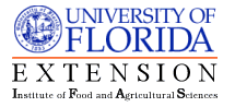 Florida University