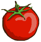 Tomatoe picture