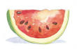 watermelon picture